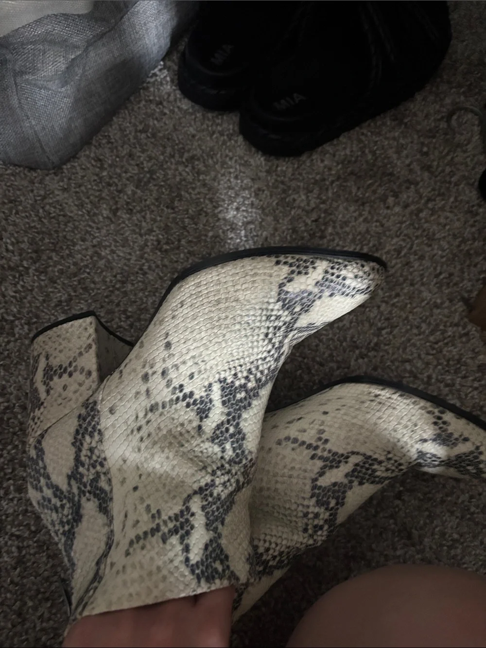 Steve Madden Cream and Black Snake-Print Block Heel Booties